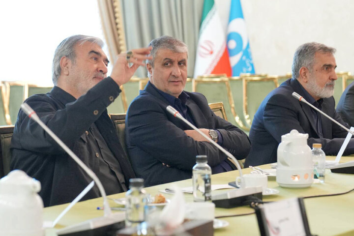نشست کمیسیون امنیت ملی و سیاست خارجی مجلس با رئیس سازمان انرژی اتمی