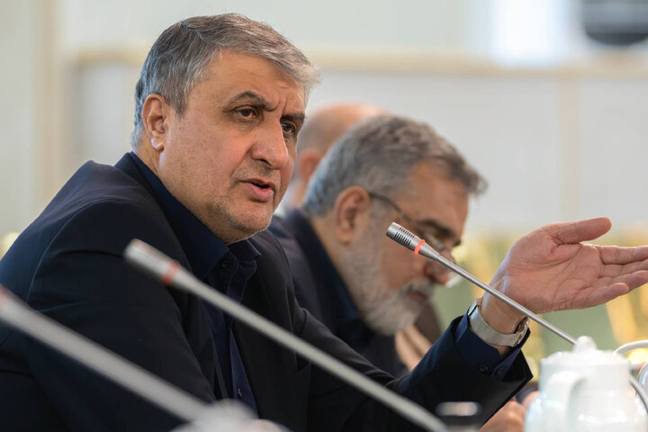نشست کمیسیون امنیت ملی و سیاست خارجی مجلس با رئیس سازمان انرژی اتمی