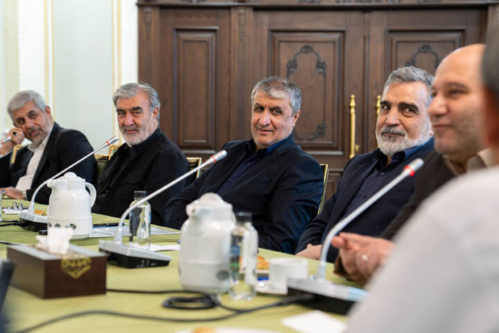 نشست کمیسیون امنیت ملی و سیاست خارجی مجلس با رئیس سازمان انرژی اتمی