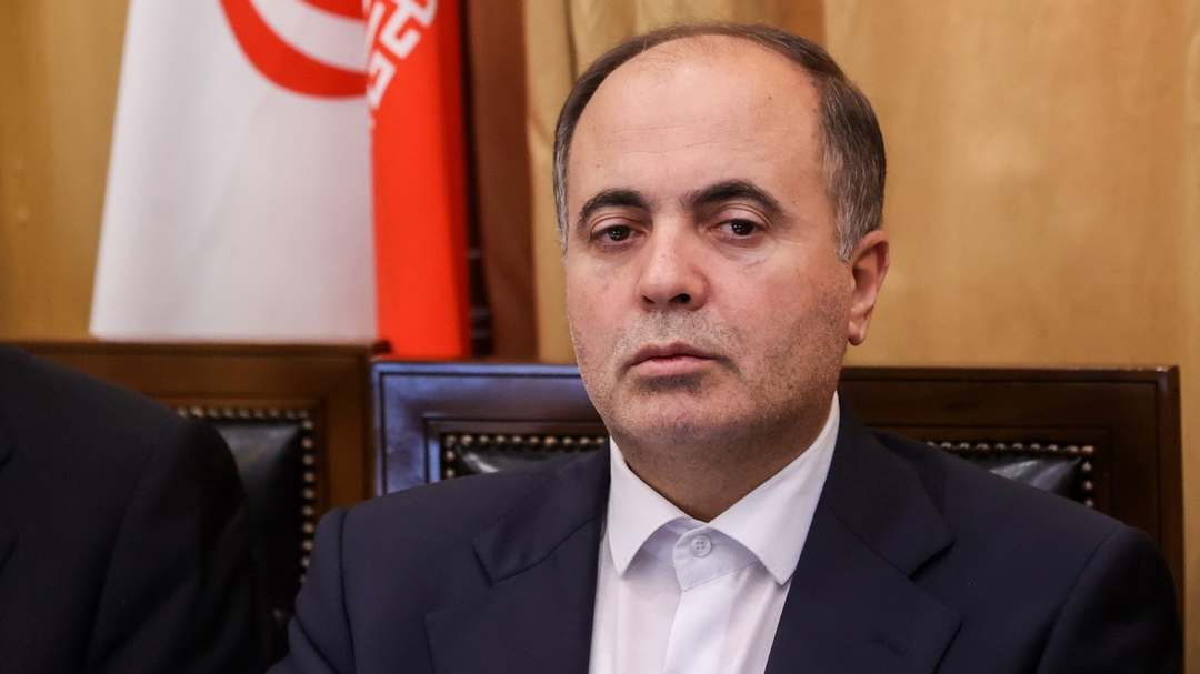 منابع کافی برای خرید تضمینی گندم پیش‌بینی شده است