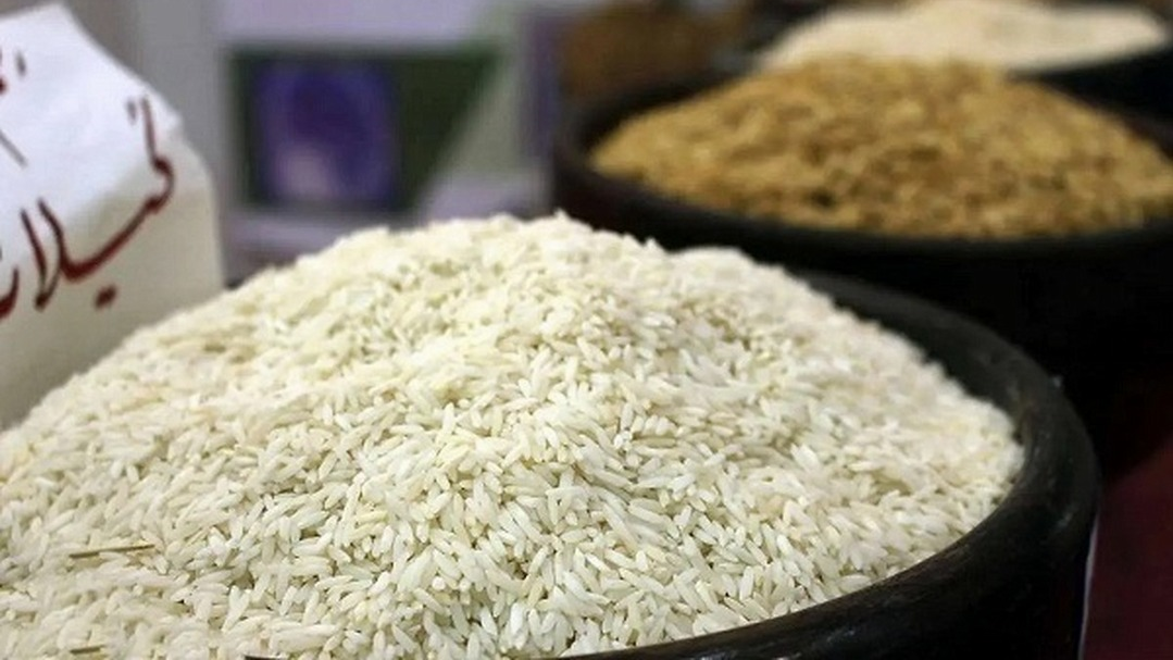 قیمت برنج درب کارخانه شالی کوبی 180 هزار تومان است/واسطه‌ها از بازار حذف شوند
