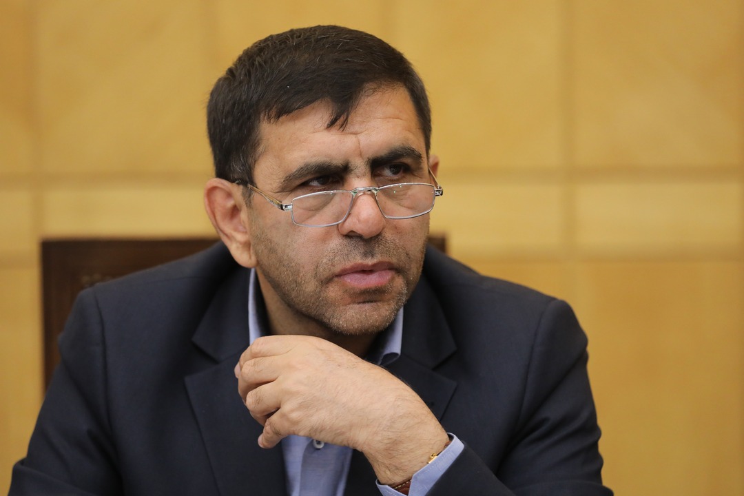 سید نجیب حسینی