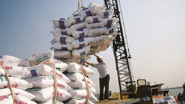 آیا توان خودکفایی در تولید برنج وجود دارد؟