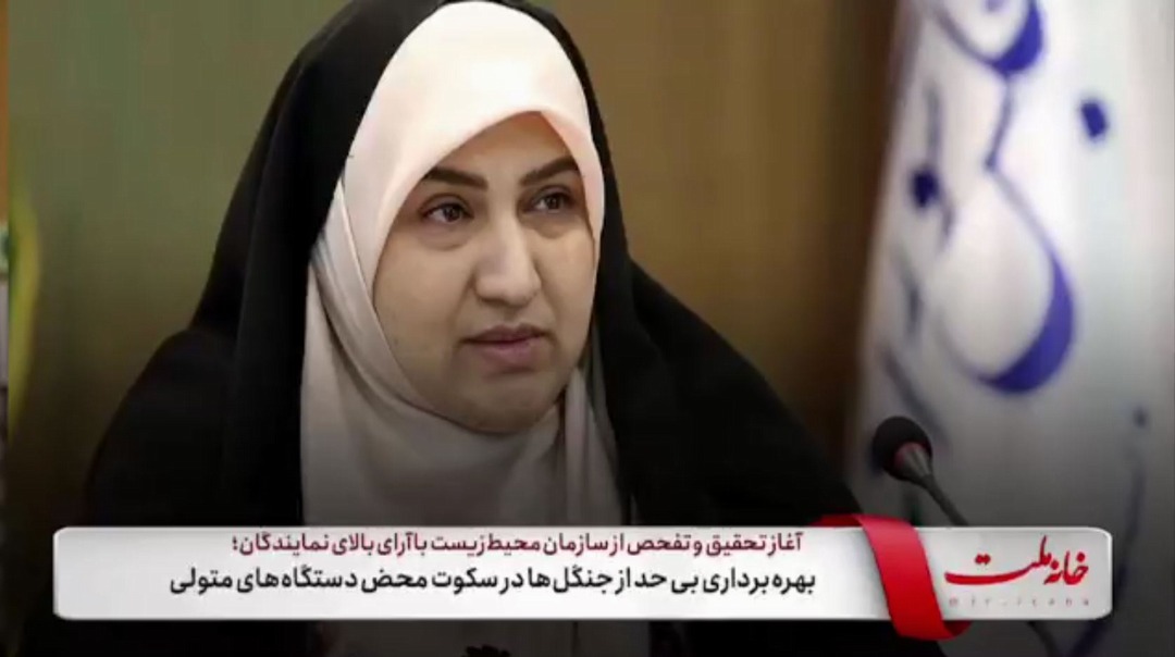 بهره برداری بی حد از جنگل‌ها در سکوت محض دستگاه‌های متولی