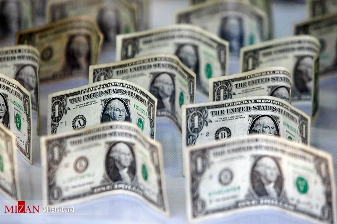 تصمیمات شتاب‌زده درباره ارز ترجیحی منجر به کاهش انگیزه تولید می‌شود