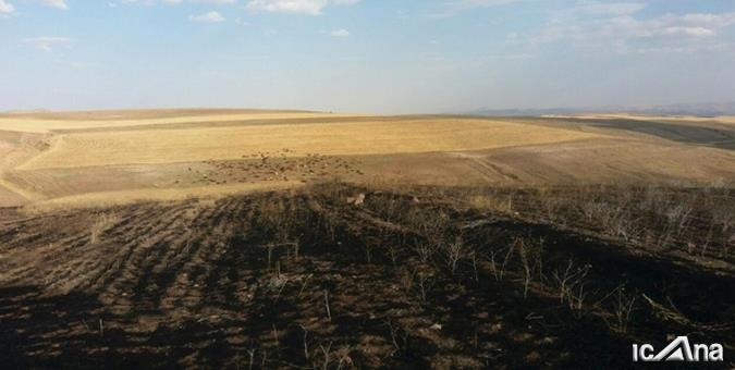 تکلیف مجلس به وزارتخانه‌های راه و جهاد برای تعین تکلیف اراضی تحت تملک اشخاص حقیقی و حقوقی غیردولتی