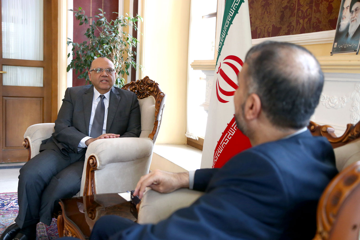 دیدار رئیس دفتر حافظ منافع مصر در تهران با حسین امیرعبداللهیان