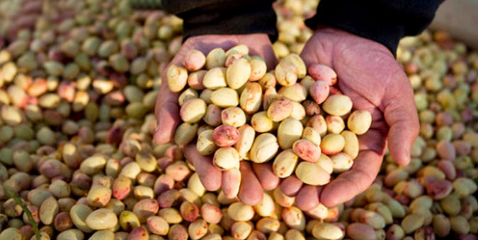 به جای غصه خوردن پسته هم نمی توان خورد