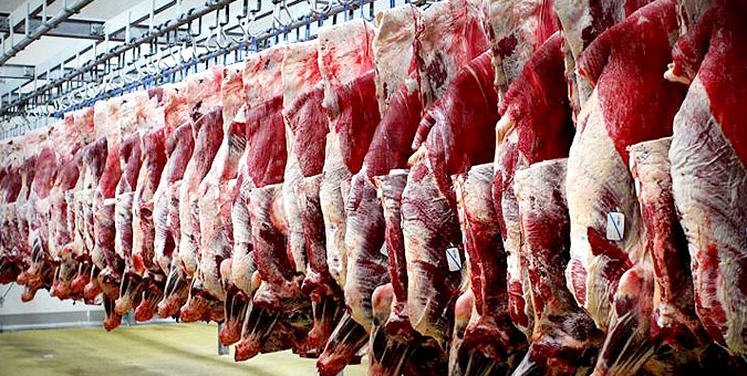 نقش موثر حمایت از عشایر در تقویت تولید گوشت قرمز