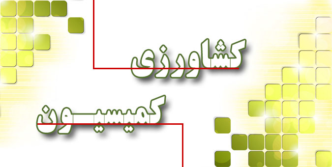 خسارت سیل به یک میلیون هکتار از اراضی کشاورزی