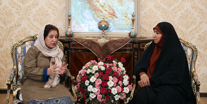 دیدار هاجر چنارانی با سفیر پاکستان در تهران
