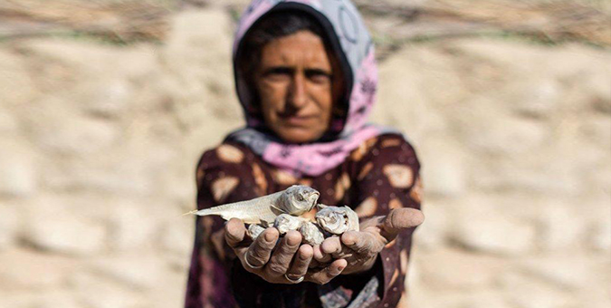 آغاز مهاجرت بزرگ در سیستان و بلوچستان
