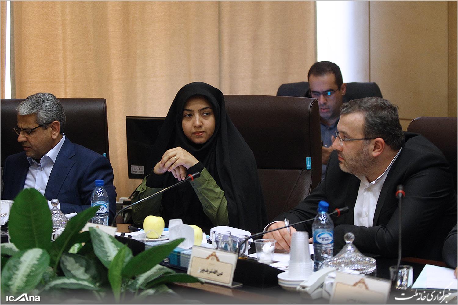 گزارش تصویری/ نشست کمیسیون اقتصادی مجلس شورای اسلامی با حضور وزیر امور اقتصاد و دارایی